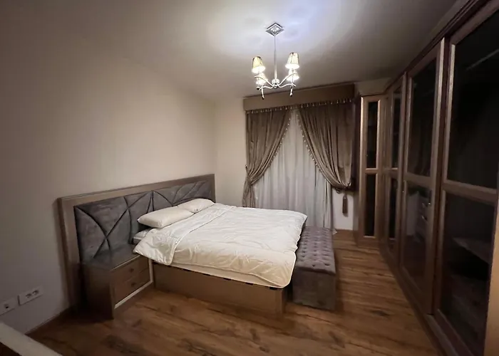 Cairo Festival For Rent